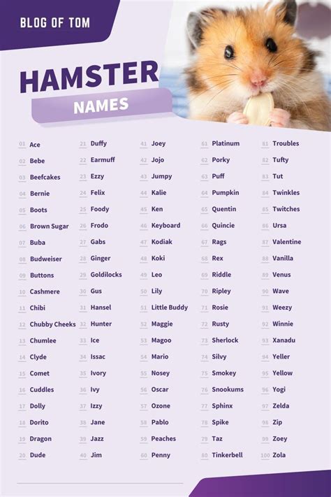 funny hamster names boy